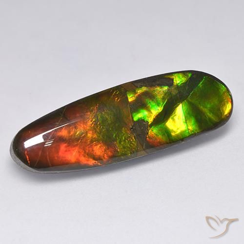 13.63ct Натуральный Многоцветный Аммолит, причудливая, Непрозрачный