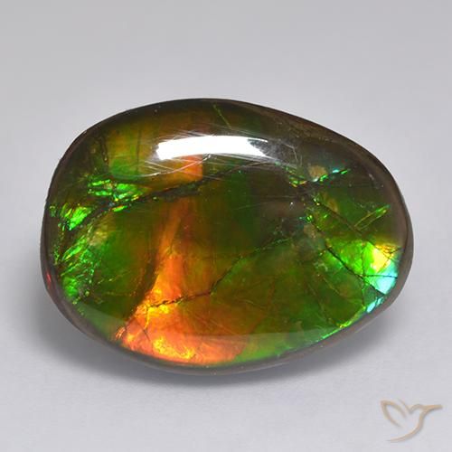 14.86ct Натуральный Многоцветный Аммолит, причудливая, Непрозрачный
