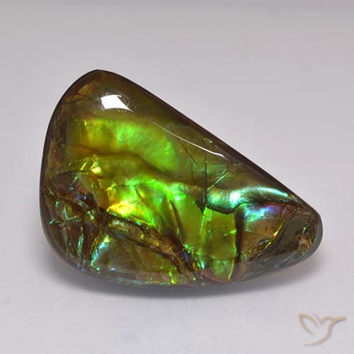 19.60ct Натуральный Многоцветный Аммолит, причудливая, Непрозрачный