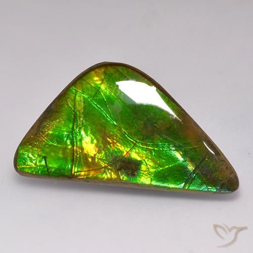 17.71ct Натуральный Многоцветный Аммолит, причудливая, Непрозрачный
