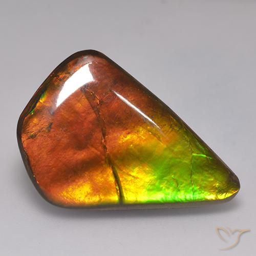 20.30ct Натуральный Многоцветный Аммолит, причудливая, Непрозрачный