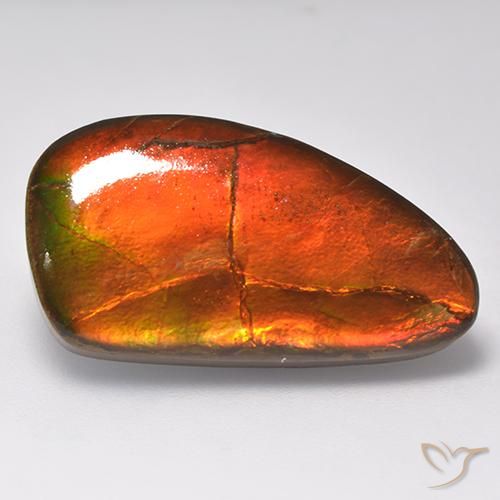 16.93ct Натуральный Многоцветный Аммолит, причудливая, Непрозрачный