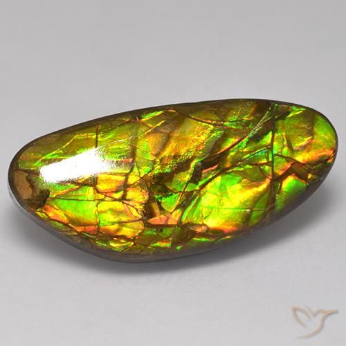 17.56ct Натуральный Многоцветный Аммолит, причудливая, Непрозрачный