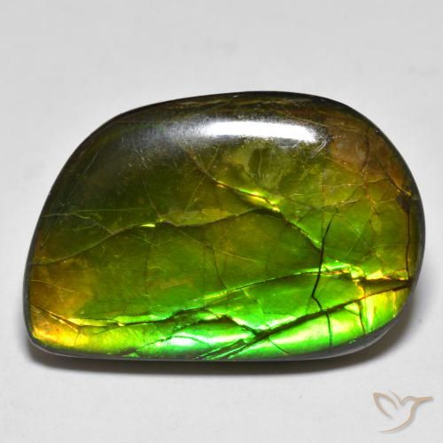 16.89ct Натуральный Многоцветный Аммолит, причудливая, Непрозрачный