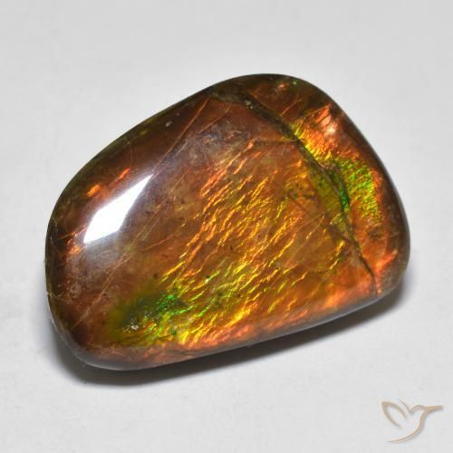 16.39ct Натуральный Многоцветный Аммолит, причудливая, Непрозрачный