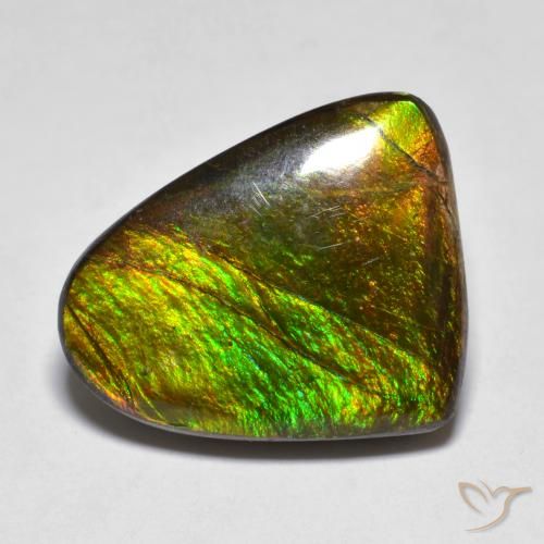 10.20ct Натуральный Многоцветный Аммолит, причудливая, Непрозрачный
