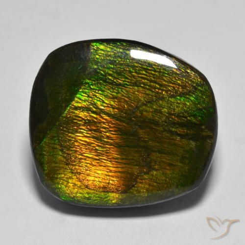 15.88ct Натуральный Многоцветный Аммолит, причудливая, Непрозрачный