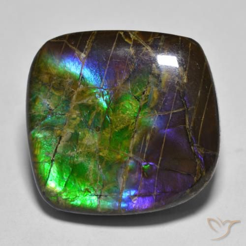 19.25ct Натуральный Многоцветный Аммолит, причудливая, Непрозрачный