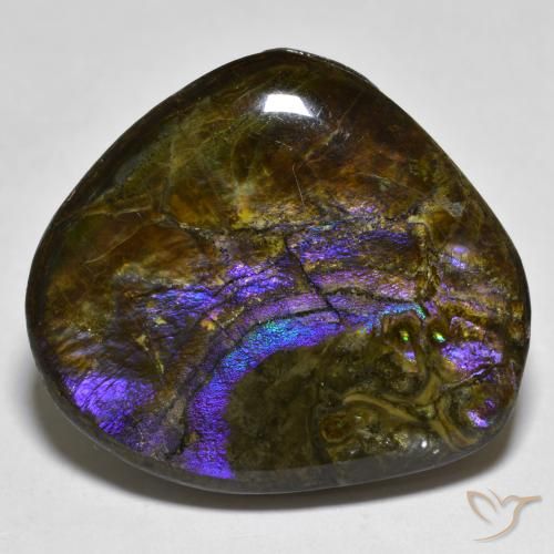 20.55ct Натуральный Многоцветный Аммолит, причудливая, Непрозрачный