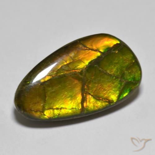12.63ct Натуральный Многоцветный Аммолит, причудливая, Непрозрачный