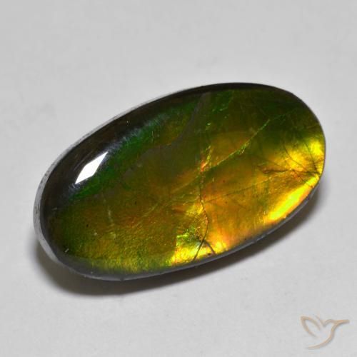 10.40ct Натуральный Многоцветный Аммолит, Овал, Непрозрачный