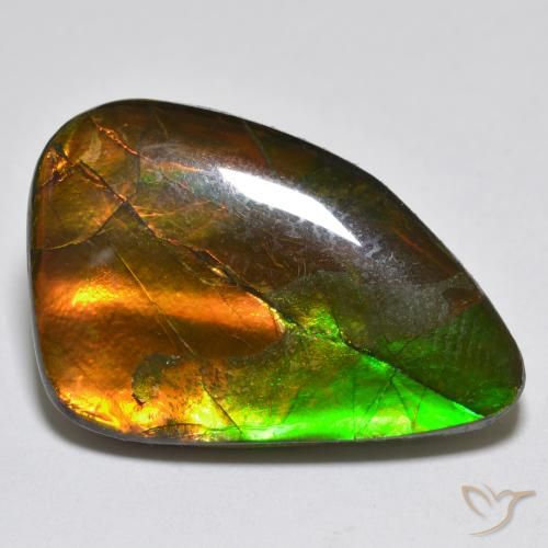 12.25ct Натуральный Многоцветный Аммолит, причудливая, Непрозрачный