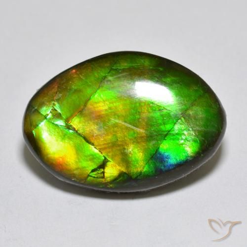 10.50ct Натуральный Многоцветный Аммолит, причудливая, Непрозрачный