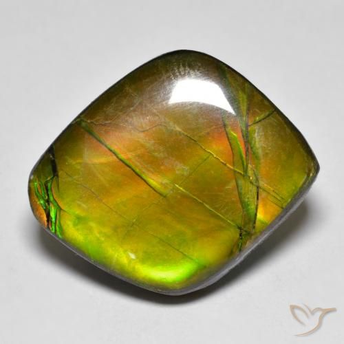 19.04ct Натуральный Многоцветный Аммолит, причудливая, Непрозрачный