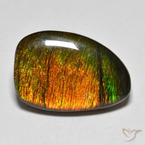 10.20ct Натуральный Многоцветный Аммолит, причудливая, Непрозрачный