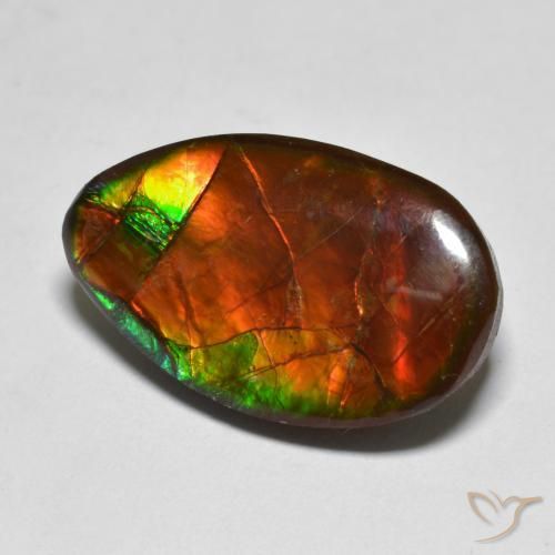 13.17ct Натуральный Многоцветный Аммолит, причудливая, Непрозрачный
