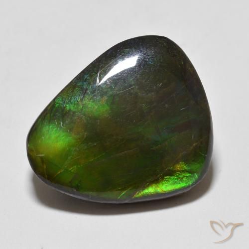 12.93ct Натуральный Многоцветный Аммолит, причудливая, Непрозрачный