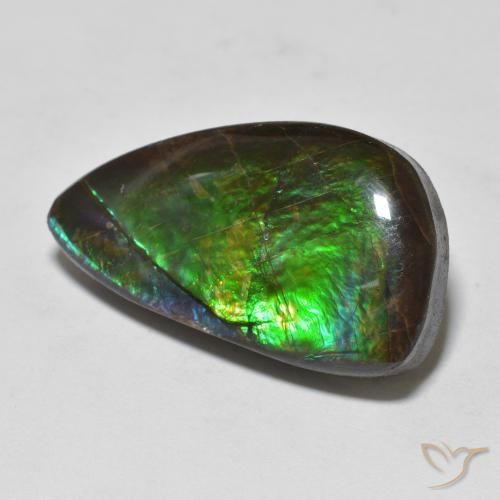 11.99ct Натуральный Многоцветный Аммолит, причудливая, Непрозрачный