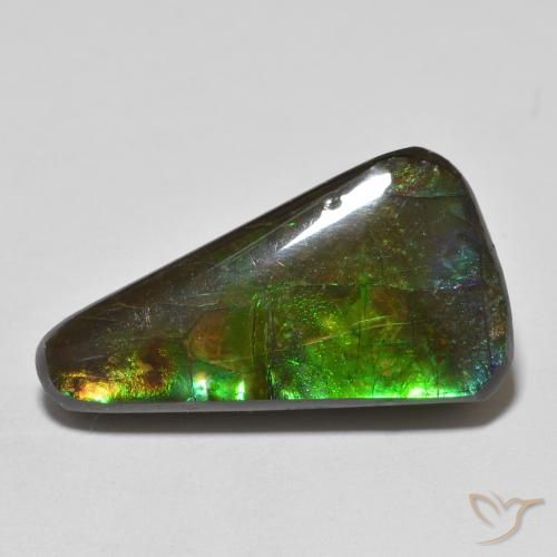 13.74ct Натуральный Многоцветный Аммолит, причудливая, Непрозрачный
