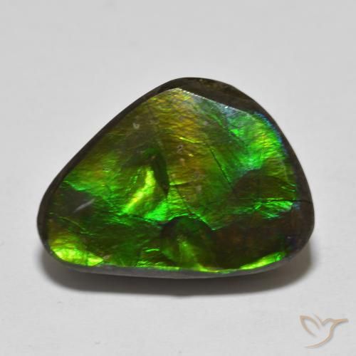 13.90ct Натуральный Многоцветный Аммолит, причудливая, Непрозрачный