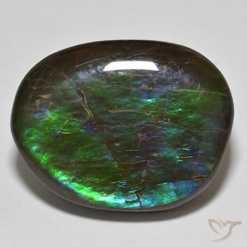 19.98ct Натуральный Многоцветный Аммолит, причудливая, Непрозрачный