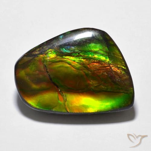 16.94ct Натуральный Многоцветный Аммолит, причудливая, Непрозрачный