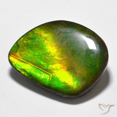 11.97ct Натуральный Многоцветный Аммолит, причудливая, Непрозрачный