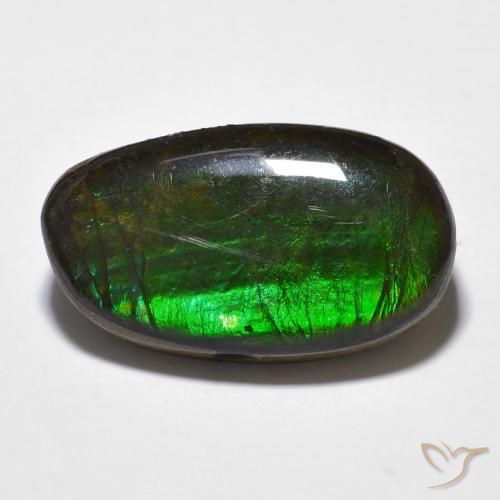 11.20ct Натуральный Многоцветный Аммолит, причудливая, Непрозрачный