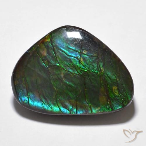 14.68ct Натуральный Многоцветный Аммолит, причудливая, Непрозрачный