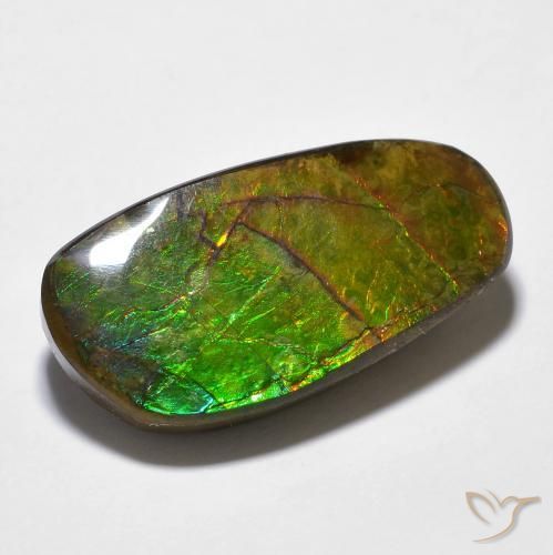 14.29ct Натуральный Многоцветный Аммолит, причудливая, Непрозрачный