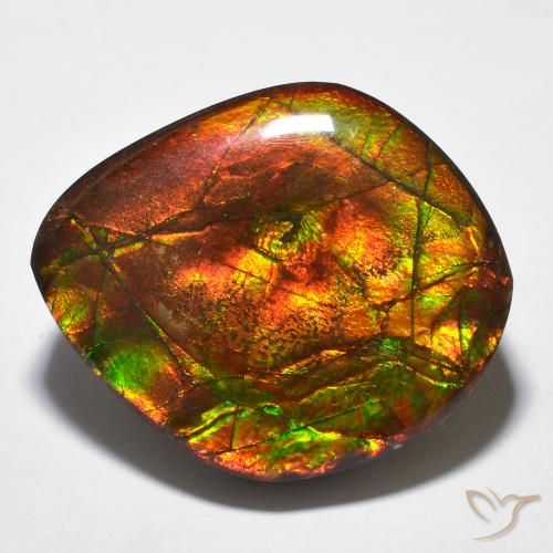 23.51ct Натуральный Многоцветный Аммолит, причудливая, Непрозрачный