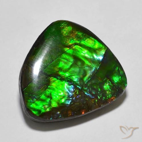 13.78ct Натуральный Многоцветный Аммолит, причудливая, Непрозрачный