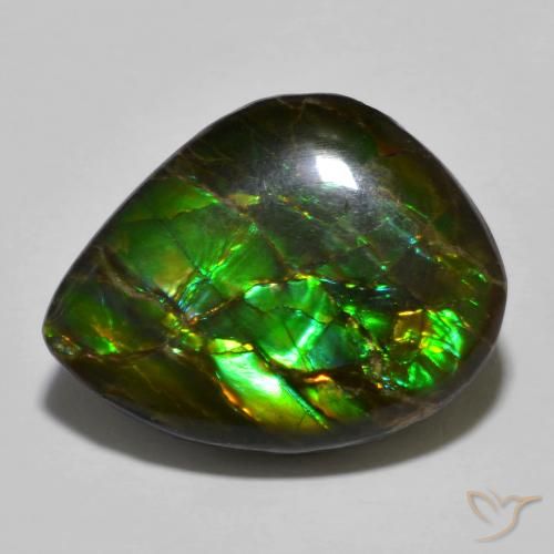 12.91ct Натуральный Многоцветный Аммолит, причудливая, Непрозрачный