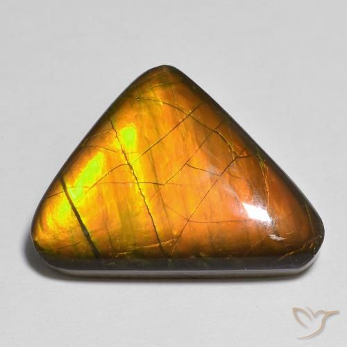 13.83ct Натуральный Многоцветный Аммолит, причудливая, Непрозрачный