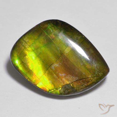 15.05ct Натуральный Многоцветный Аммолит, причудливая, Непрозрачный