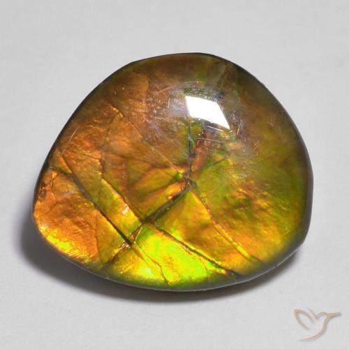 10.33ct Натуральный Многоцветный Аммолит, причудливая, Непрозрачный