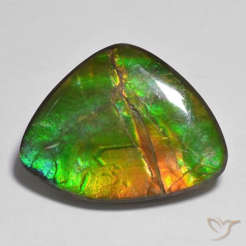 17.37ct Натуральный Многоцветный Аммолит, причудливая, Непрозрачный