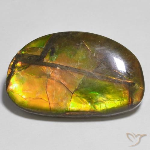 17.79ct Натуральный Многоцветный Аммолит, причудливая, Непрозрачный