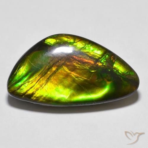 14.81ct Натуральный Многоцветный Аммолит, причудливая, Непрозрачный