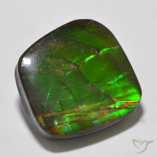 13.53ct Натуральный Многоцветный Аммолит, причудливая, Непрозрачный