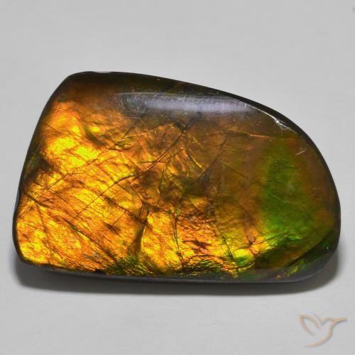 23.93ct Натуральный Многоцветный Аммолит, причудливая, Непрозрачный