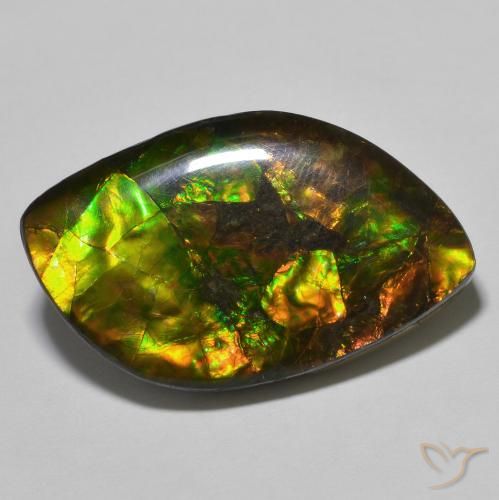 22.60ct Натуральный Многоцветный Аммолит, причудливая, Непрозрачный