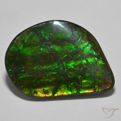 21.40ct Натуральный Многоцветный Аммолит, причудливая, Непрозрачный