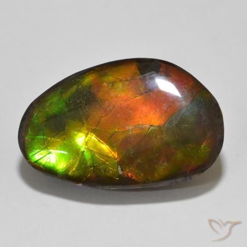 13.56ct Натуральный Многоцветный Аммолит, причудливая, Непрозрачный