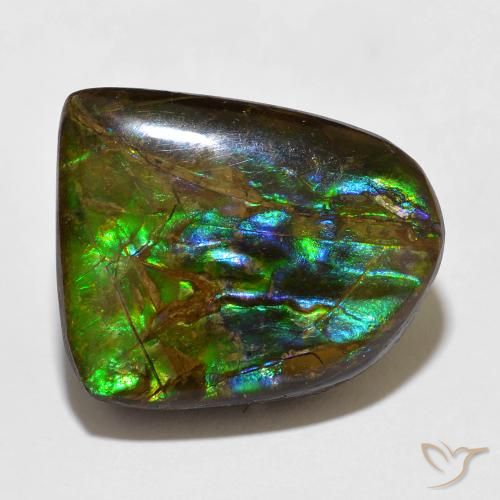 15.49ct Натуральный Многоцветный Аммолит, причудливая, Непрозрачный