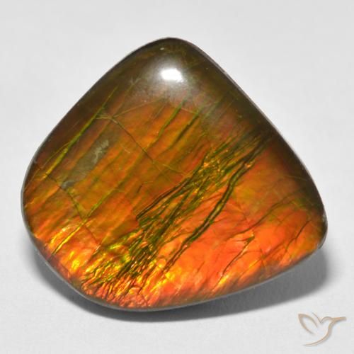 17.88ct Натуральный Многоцветный Аммолит, причудливая, Непрозрачный