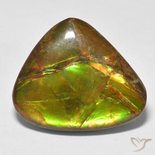 13.26ct Натуральный Многоцветный Аммолит, причудливая, Непрозрачный