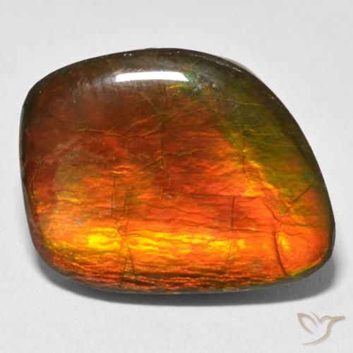 15.38ct Натуральный Многоцветный Аммолит, причудливая, Непрозрачный