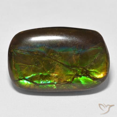 16.16ct Натуральный Многоцветный Аммолит, причудливая, Непрозрачный