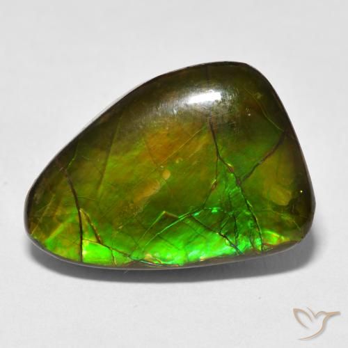 13.40ct Натуральный Многоцветный Аммолит, причудливая, Непрозрачный